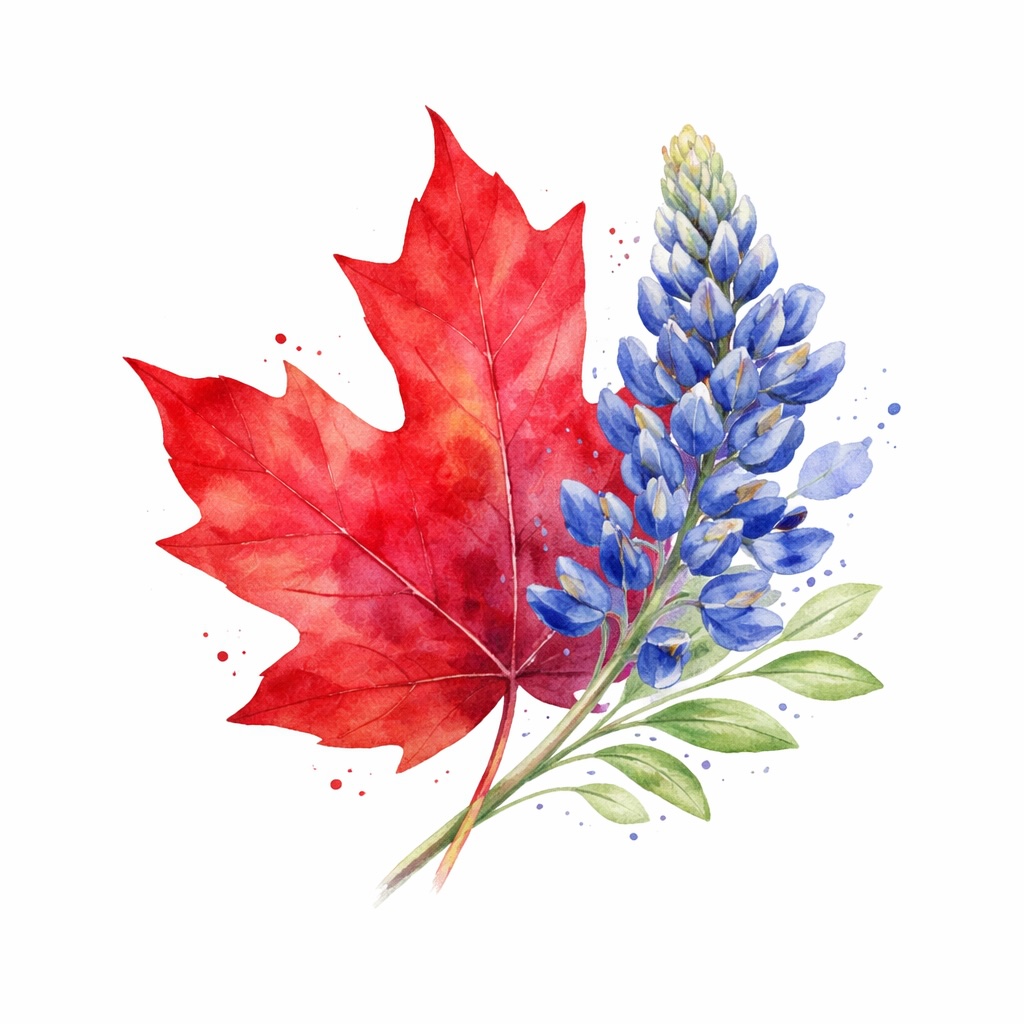 Texan Canadian